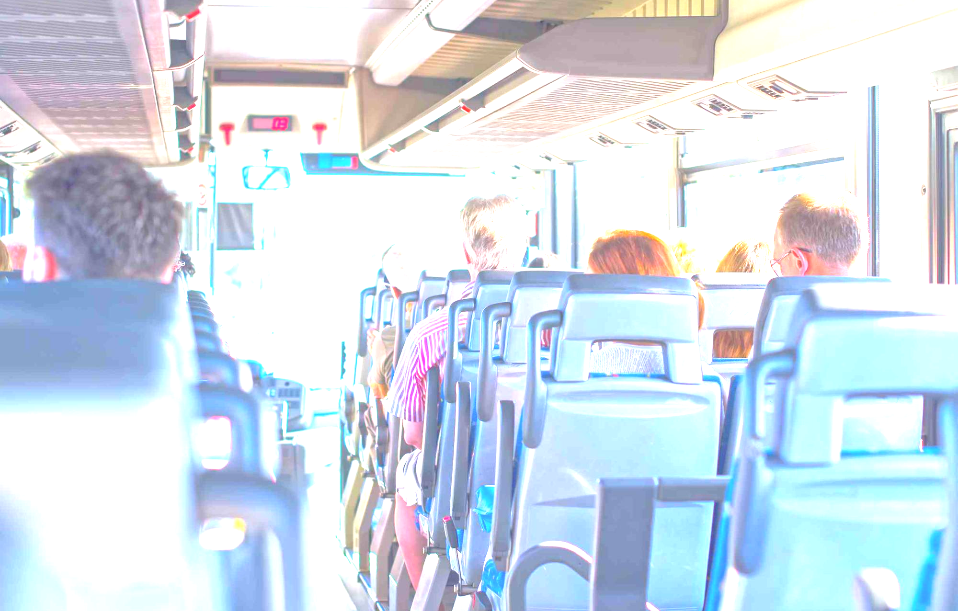 bus with view bus with view